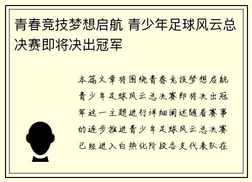 青春竞技梦想启航 青少年足球风云总决赛即将决出冠军