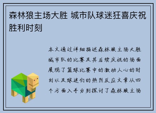 森林狼主场大胜 城市队球迷狂喜庆祝胜利时刻